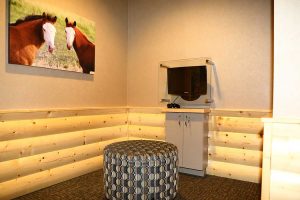 Lincoln Pediatric Dentistry East Office - kid's waiting area