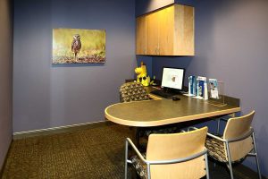 Lincoln Pediatric Dentistry East Office - patient meeting area
