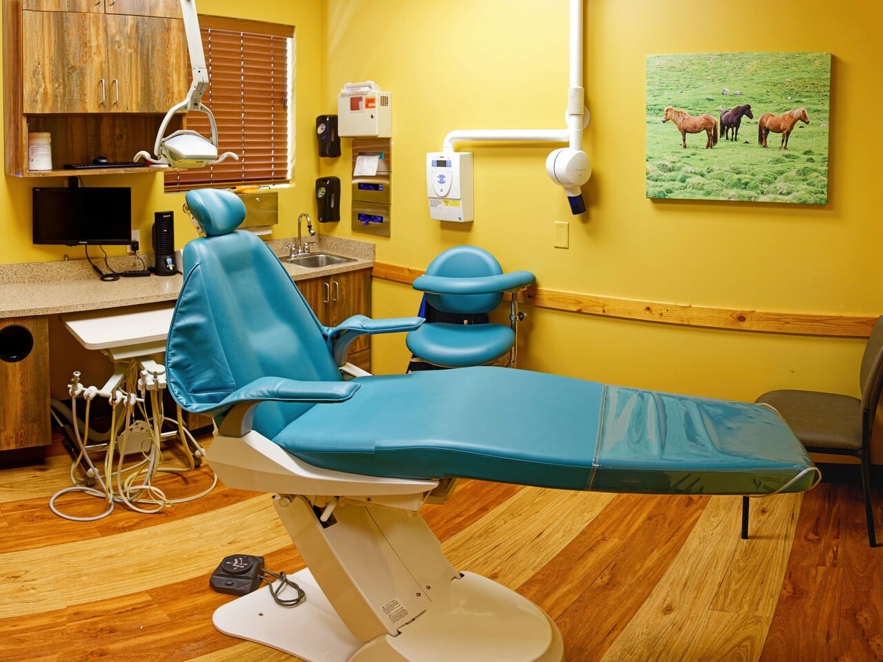 A dental office with a blue chair, computer, and horse-themed wall art. Wooden accents create a warm, inviting atmosphere.