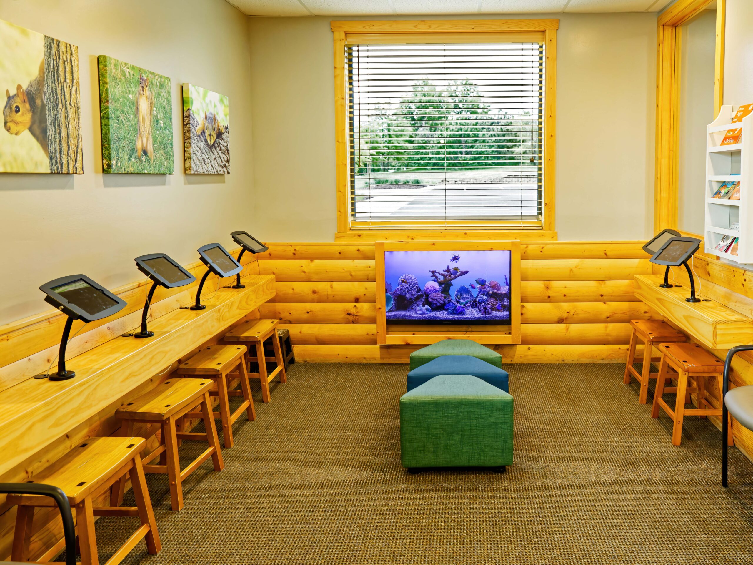 A cozy waiting room features wooden seating, mounted tablets, vibrant animal artwork on walls, an aquarium display, and a window overlooking greenery.